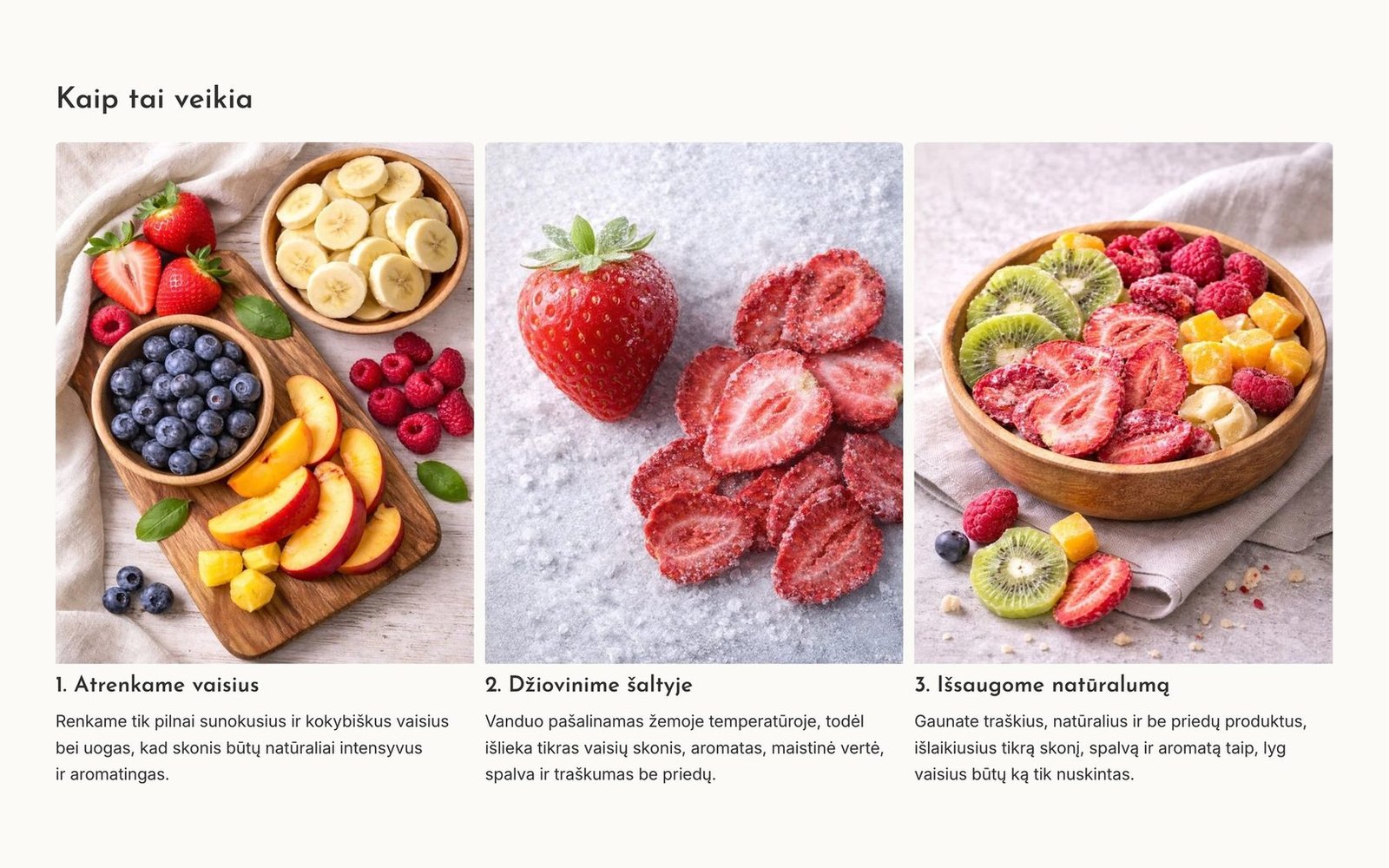 Liofilizavimo procesas trimis žingsniais